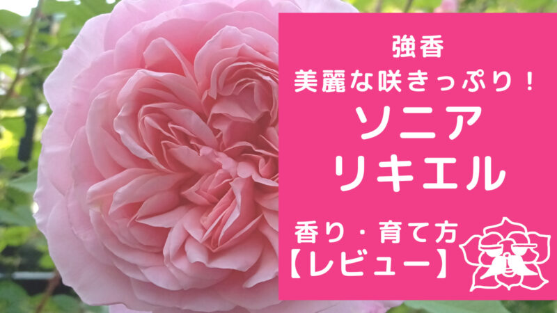 20220725_000113_0001-