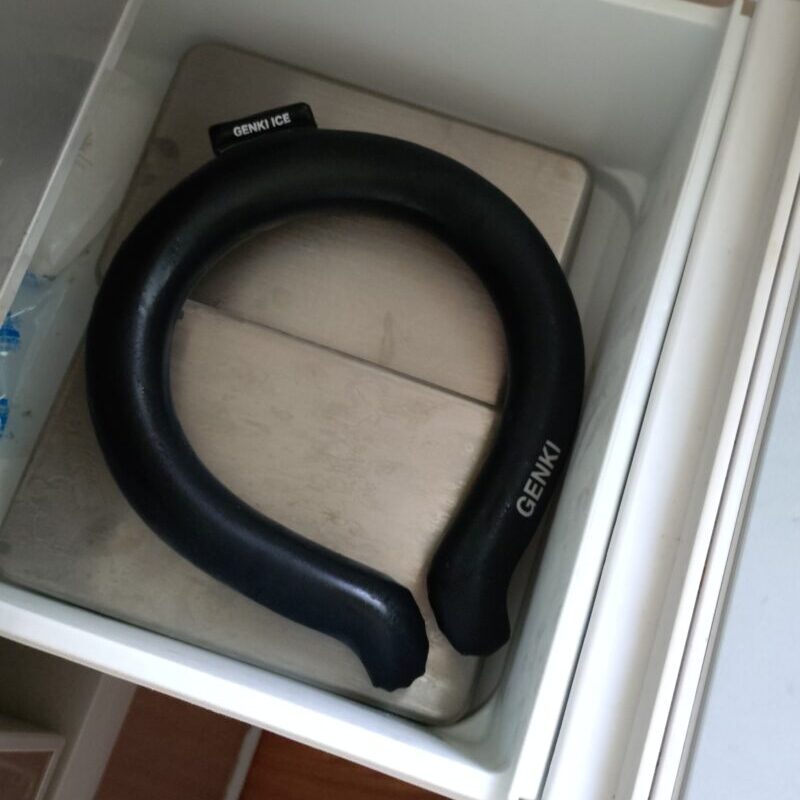 すぐに使えるよう冷凍庫に保管してます